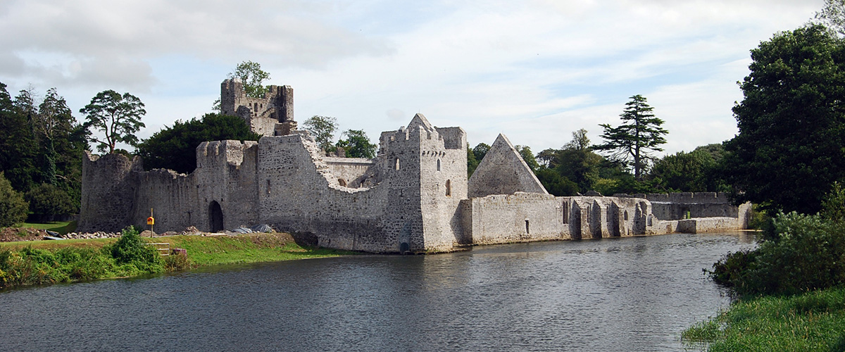 Desmond Castle