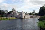 Desmond Castle