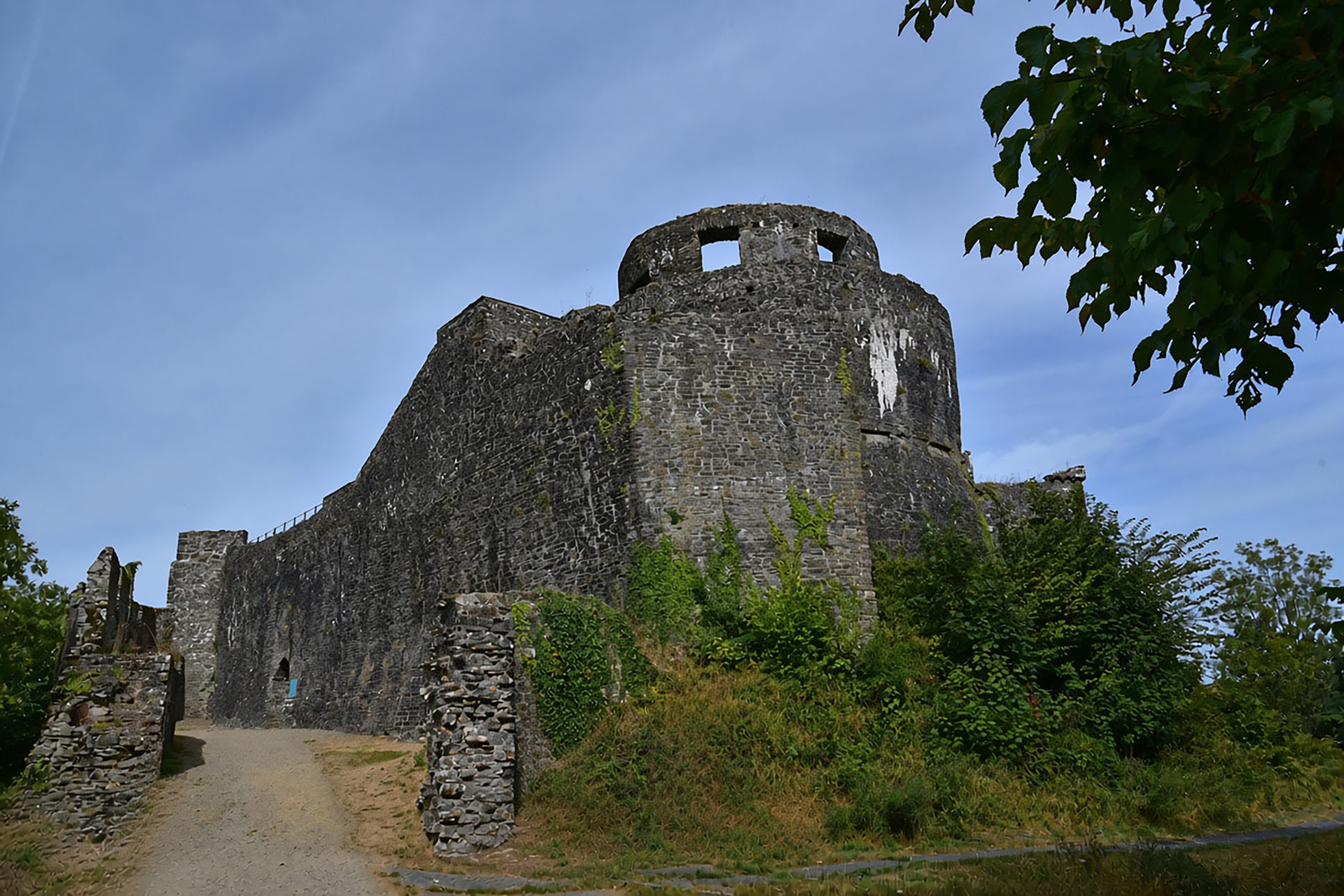 Dinefwr Castle