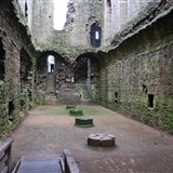 Cellar