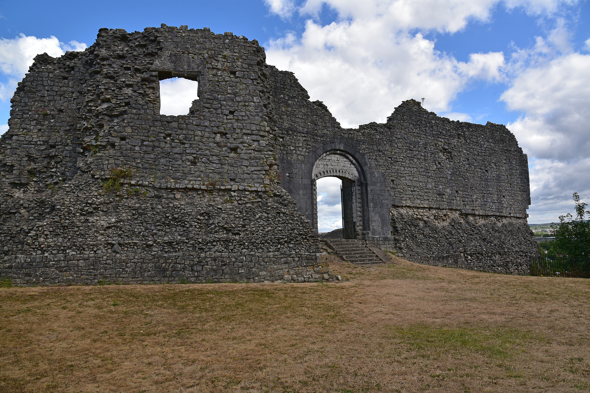 Newcastle Castle